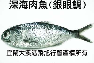 深海肉魚(銀眼鯛)..夏、秋季限定常見大小眼公斤5-10尾