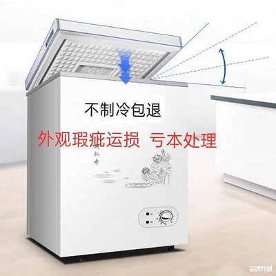 二手冰箱冰櫃單冷櫃式大型電冰櫃省電溫控特價租房運輸結冰商用