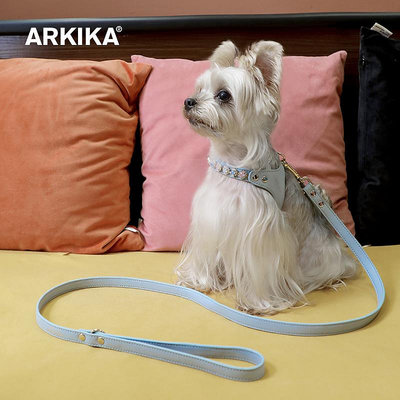 ARKIKA小體型狗狗牽引繩約克夏馬爾濟斯胸背帶式幼犬遛狗寵物用品