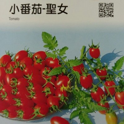 小番茄【滿790免運費】小番茄-聖女 農友種苗 "特選蔬果種子" 每包約6粒 保證新鮮種子