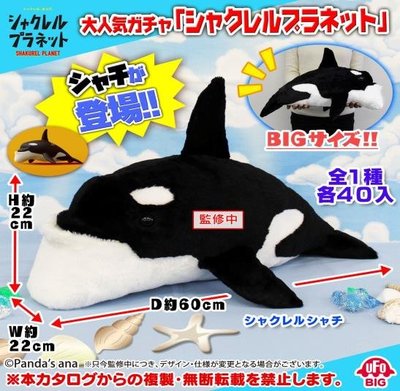 【一手動漫】 日本正版 景品 戽斗星球 戽斗動物園 鯨魚 殺人鯨 娃娃 布偶