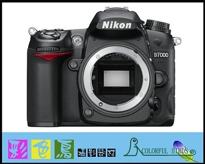 彩色鳥 (租 相機 鏡頭 DV出租) 租 Nikon D7000 + Nikon 17-55mm f2.8