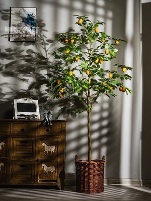 現貨熱銷-高檔仿真花檸檬樹果樹假樹仿生綠植室內客廳落地盆栽植物裝飾擺件花草世界