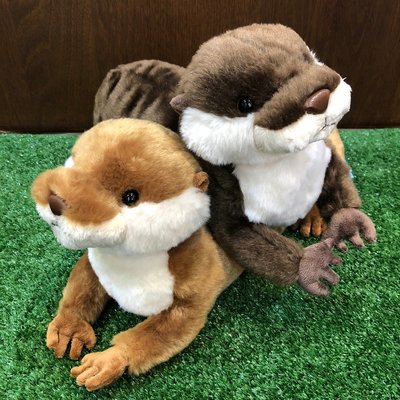 【誠誠小舖】日本進口 正版 動物 SUNLEMON 水獺 擬真 可愛 絨毛 玩偶 娃娃 深棕色 淺棕色 M尺寸