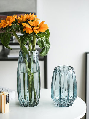 花瓶擺件客廳插花輕奢玻璃瓶北歐ins風格網紅透明水培鮮花寬口小台北有個家