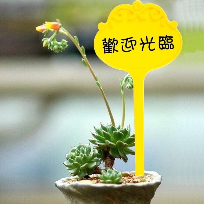 【珍愛頌】N078 防水花型植物標籤 花型標籤 花卉標籤 園藝標籤 園藝插牌 植物插牌 盆栽標籤 標價牌 售價牌 花卉牌