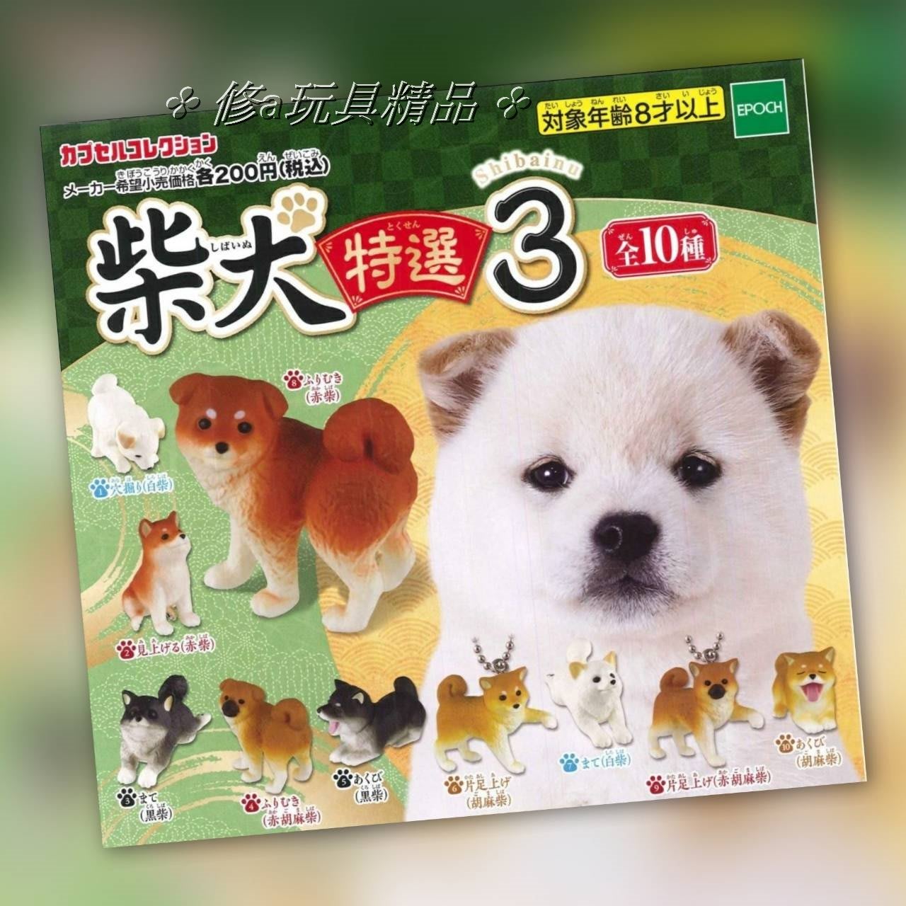 修a玩具精品 正版現貨epoch 可愛柴犬造型特選p3 全10款扭蛋轉蛋柴犬小狗 Yahoo奇摩拍賣