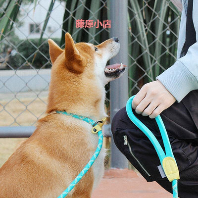 精品P型P鏈P繩訓練用品狗狗牽引繩遛狗繩子寵物鏈子小型中型犬大型犬