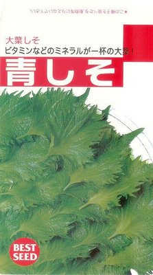 【蔬菜種子S023】青紫蘇~~提味聖品，常與海鮮及肉品合用，鐵質為所有蔬菜之冠。