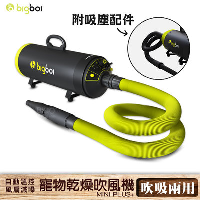 【bigboi】MINI PLUS+ 寵物乾燥吹風機(附吸塵套件) 吹水機 乾燥吹風機 寵物吹水機 雙馬達吹風機