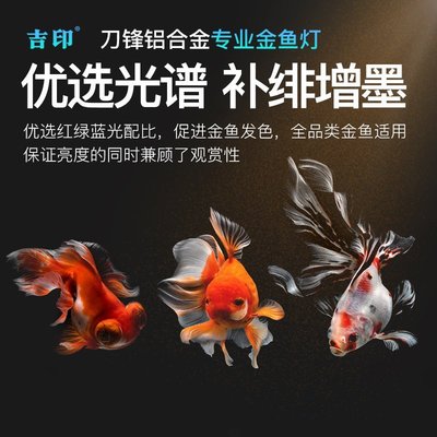 現貨 【】吉印金魚燈魚缸爆藻燈曬苔led引色苔高亮金魚增艷燈