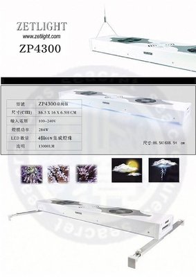 ♋ 秘境水族 ♋【SPARKLE DRAGON 閃龍】燈具 (黑/白) (ZP4300)