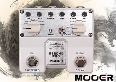 小叮噹的店- MOOER Reecho Pro 升級版 數字延時 單塊 效果器 (MREG-RC-PRO)