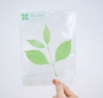 【Carrot Art】韓國leaf - it  (Large) 綠葉多功能便利貼