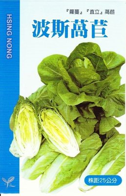 波斯萵苣【蔬果種子】興農牌 中包裝種子 約3公克/包
