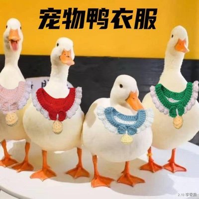 CC小铺【優選】 柯爾衣服鴨寵物鴨子項圈裝飾可愛服裝用品鵝小雞子穿的鴨圍脖