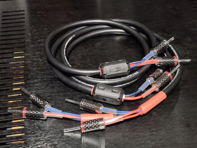 「鍍銠碳纖維」 美國 Monster Cable S16-4 XLN 高效能低雜訊 高音質表現的利器 一條1米 共兩條