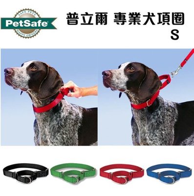 美國 petsafe 普立爾 Premier 專業犬頸圈（S）訓練可.非P字鍊.防掙脫~項圈