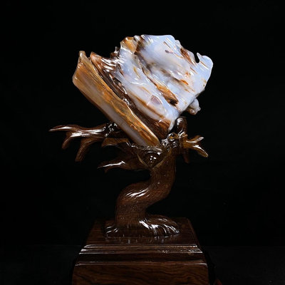 奇石 原石擺件 緬甸樹化玉 天然冰種玉化帶座高28×16×7cm 重2.5公斤黑檀木底座 編號100094