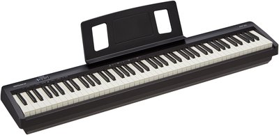 ＊雅典樂器世界＊極品 ROLAND FP-10 數位鋼琴 88鍵 電鋼琴