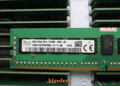 SK現代 海力士8G 2RX8 PC4-2133P DDR4 ECC REG RDIMM 伺服器記憶體