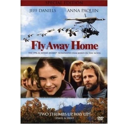 正版全新DVD~返家十萬里Fly away home特別版~繁中字幕~下標就賣