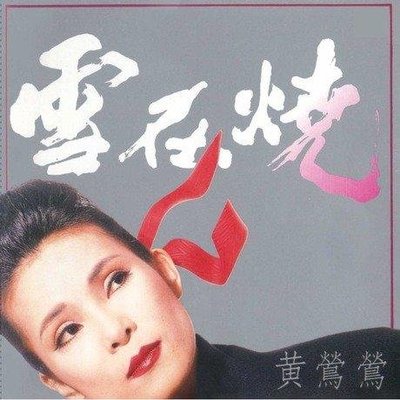 合友唱片 面交 自取 黃鶯鶯 Tracy Huang - 雪在燒 黑膠唱片 LP