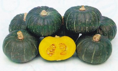 【蔬菜種子S306】小黑巴掌南瓜 ~~早生，小果黑皮，果型外觀整齊，結果性強，較早熟。