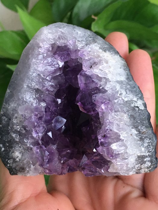 送関込 アメジスト クラスター 紫水晶 原石 瑪瑙母岩 紫水晶カッサ