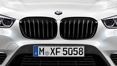 【樂駒】 BMW 原廠 F45 F46 2AT 2GT M Performance 高光澤 黑水箱罩 黑鼻頭 外觀 套件