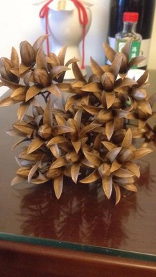 A-160 香椿蒴果，1朵2元，美麗的木質花形。擺飾、插花、手作、教學用