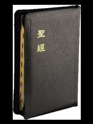 【中文聖經和合本】CU87AZTI 和合本 神版 大字型 大字版聖經 拇指索引 黑色皮拉鍊金邊