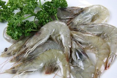 【冷凍蝦蟹類】活凍白蝦(50/60) /約850g / 盒~殼薄新鮮~肉嫩味美~鮮甜便宜又好吃~