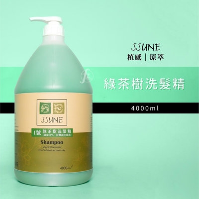 SSUNE 綠茶樹洗髮精 4000ml／洗髮乳／清爽／無負擔／舒緩頭皮／綠茶樹精油