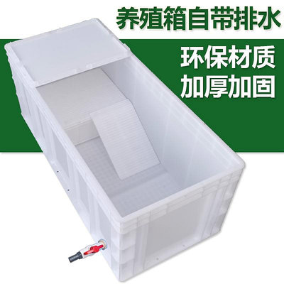 龜盒烏龜缸龜箱塑料箱專用箱烏龍魚缸號塑料大型養盒箱魚箱水族箱