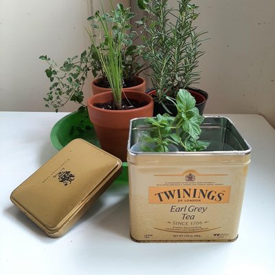 【快樂尋寶趣】【購物免費送】Twinings格雷伯爵茶散茶金色長方形空鐵盒.馬口鐵收納盒