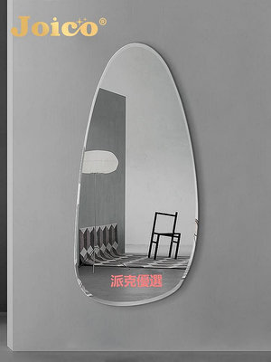 【現貨精選】JOICO瑞士壁掛全身鏡子貼墻輕奢藝術簡約穿衣鏡異形高級感試衣鏡