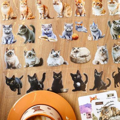 貓咪營業記可愛小貓咪切模膠帶PET防水耐用素材手帳日記裝飾貼紙
