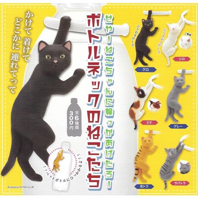 全套6款 瓶口懸掛貓 公仔 扭蛋 轉蛋 懸掛貓咪 KITAN 奇譚 日本正版【302629】