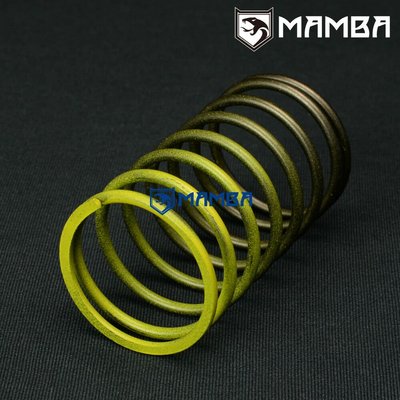 TiAL 35mm F35 External Wastegate Spring Small Yellow