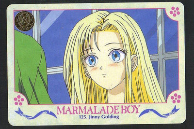 《CardTube卡族》(060930) 125 日本原裝橘子醬男孩 PP萬變卡∼ 1995年遊戲普卡