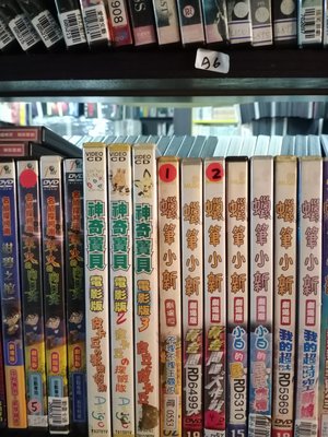 超級賣二手書-正版DVD-卡通動畫-『名偵探柯南-業火的向日葵』