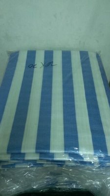 昇夏五金Sunshine，含稅_厚款藍白帆布 防水帆布 工程 塑膠布 厚款 30X30台尺 (加厚)