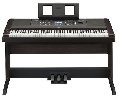 【河堤樂器】YAMAHA山葉數位鋼琴DGX-650(原DGX-640)全新～另有PX-350