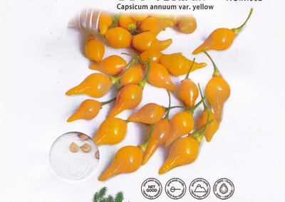 【蔬菜種子S116】黃小鴨辣椒~其味微辣，果實小如小嘴。皮薄、肉厚、爽脆、色艷、椒型小、口感好，富含鐵、鋅、硒等微量元素。