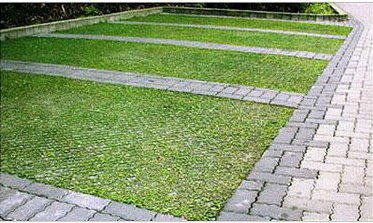 EZMAT TE 植草磚 停車場 保護草皮 綠化面積 政府機構 綠化場所 水泥磚 護草墊