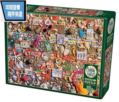 DC光感遊戲 【現貨】Cobble Hill 沙灘收集物 1000片 加拿大進口拼圖 玩具 拼圖  掛件 掛畫