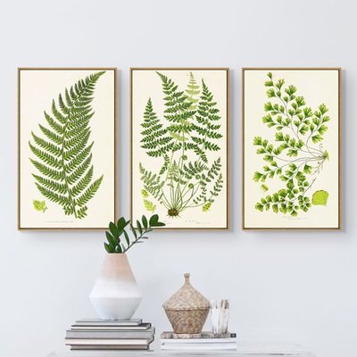 ART。DECO  藝術微噴清新田園蕨類植物現代客廳書房無框畫裝飾畫