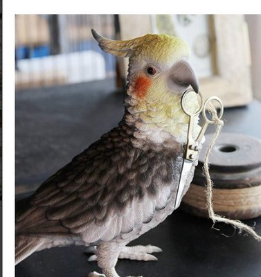 日本進口 高度20公分 小鳥鸚鵡擺件嘴巴可吸磁鐵迴紋針小剪刀鑰匙有磁性磁力的美麗鳥類裝飾物模型品送禮禮物 5720c