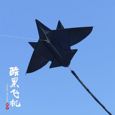 新款酷黑飛機風箏10米尾巴2024風箏成人兒童卡通黑戰斗機高檔大型